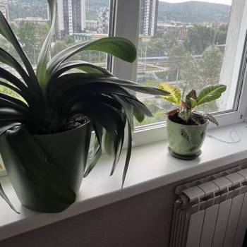 Продается 2-х комнатная квартира, 39,4 м²