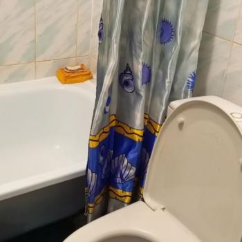 Сдается 1-комнатная квартира, 12 м²