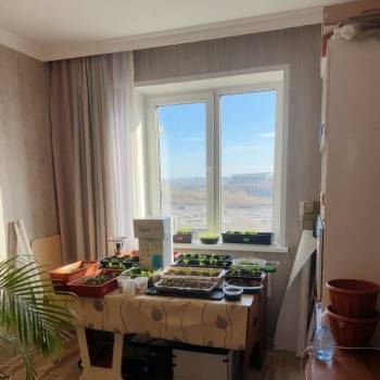 Продается Многокомнатная квартира, 82,9 м²
