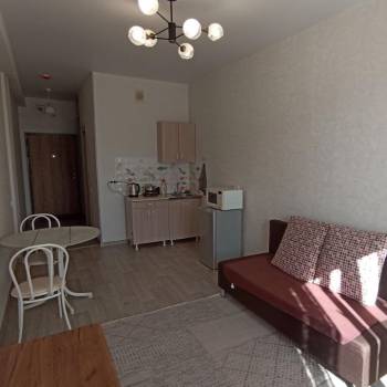 Сдается 1-комнатная квартира, 25,4 м²
