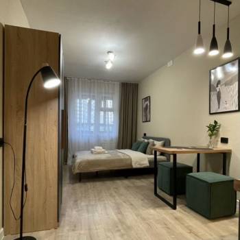 Сдается 1-комнатная квартира, 23,5 м²