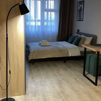 Сдается 1-комнатная квартира, 23,5 м²