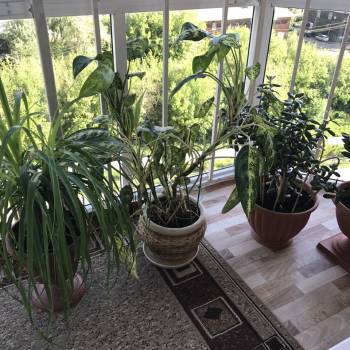 Продается 3-х комнатная квартира, 85 м²