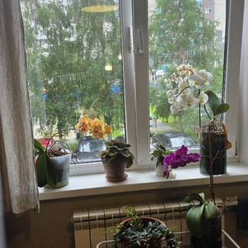 Продается Многокомнатная квартира, 85 м²