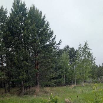 Продается Участок, 1600 м²