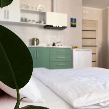 Сдается 1-комнатная квартира, 27,5 м²
