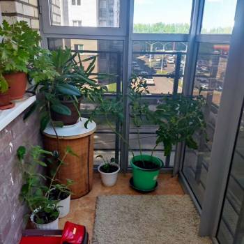 Продается 3-х комнатная квартира, 75,2 м²