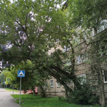 Продается 1-комнатная квартира, 17,1 м²