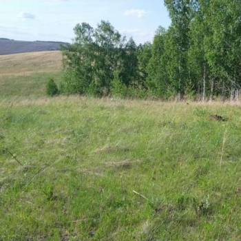 Продается Участок, 3000 м²