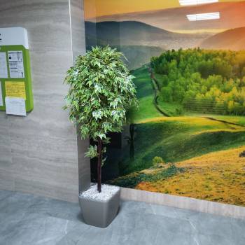 Сдается 2-х комнатная квартира, 35 м²