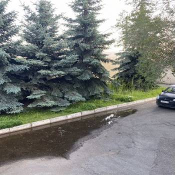 Продается Нежилое помещение, 55 м²