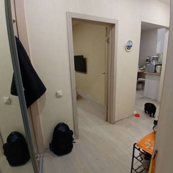 Сдается 2-х комнатная квартира, 39 м²