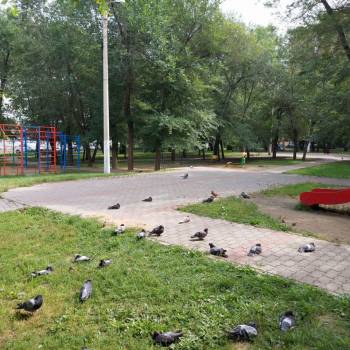 Продается 1-комнатная квартира, 27,5 м²