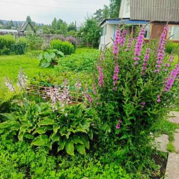 Продается Дом, 52 м²