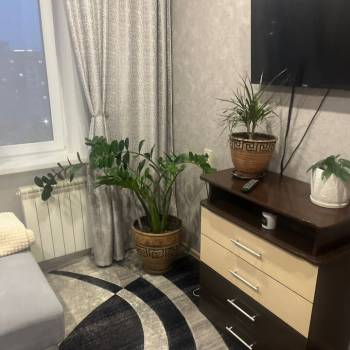 Сдается Многокомнатная квартира, 77 м²