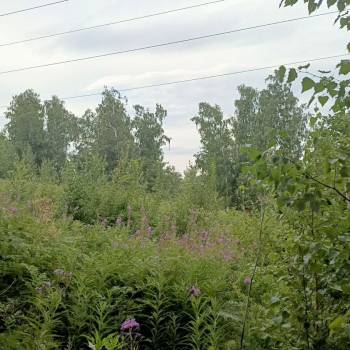 Продается Участок, 1000 м²