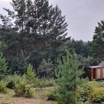 Продается Участок, 650 м²