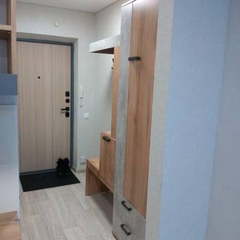 Сдается 1-комнатная квартира, 25,6 м²