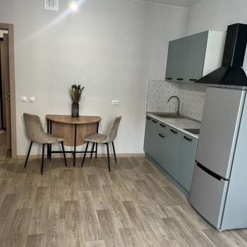 Сдается 1-комнатная квартира, 26,8 м²