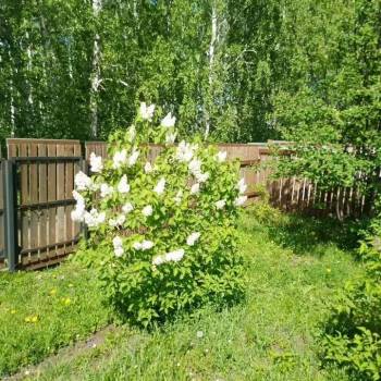 Продается Участок, 600 м²
