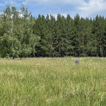 Продается Участок, 1300 м²