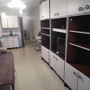 Сдается 1-комнатная квартира, 31 м²