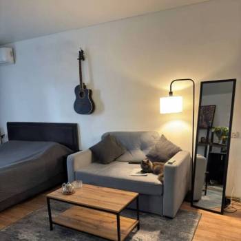 Продается 1-комнатная квартира, 30,5 м²