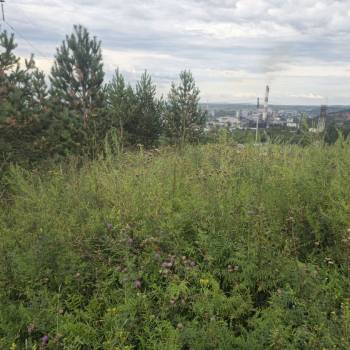 Продается Участок, 800 м²