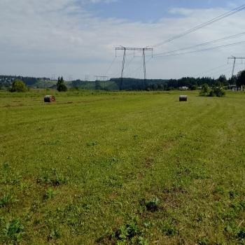 Продается Участок, 67000 м²
