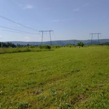 Продается Участок, 67000 м²