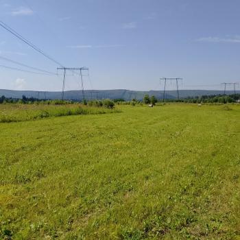 Продается Участок, 67000 м²