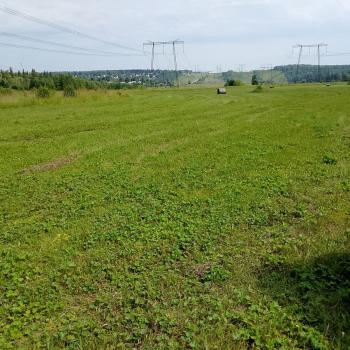 Продается Участок, 67000 м²