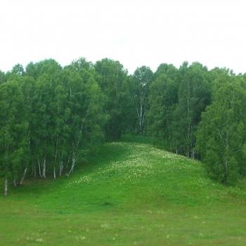 Продается Участок, 1000 м²