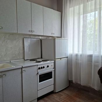 Сдается Многокомнатная квартира, 46 м²