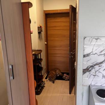 Сдается 1-комнатная квартира, 18 м²