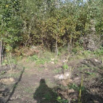 Продается Участок, 800 м²