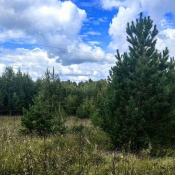 Продается Участок, 1500 м²
