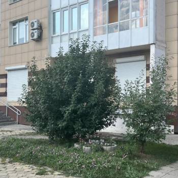 Сдается Нежилое помещение, 142,6 м²