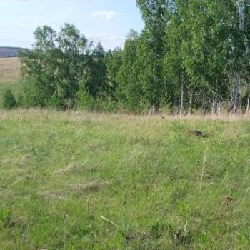 Продается Участок, 3000 м²