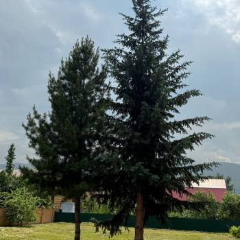 Продается Участок, 1200 м²