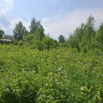 Продается Участок, 800 м²