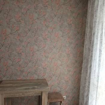 Сдается 1-комнатная квартира, 50 м²