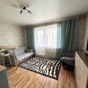 Сдается 1-комнатная квартира, 23,6 м²