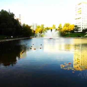 Сдается 2-х комнатная квартира, 36 м²