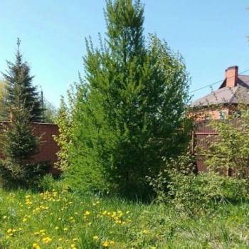 Продается Участок, 1500 м²