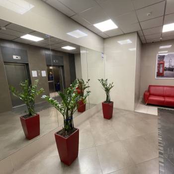 Сдается Многокомнатная квартира, 106,8 м²