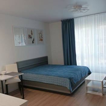 Сдается 1-комнатная квартира, 25,3 м²