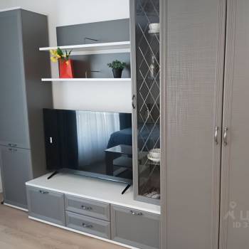 Сдается 1-комнатная квартира, 25,3 м²