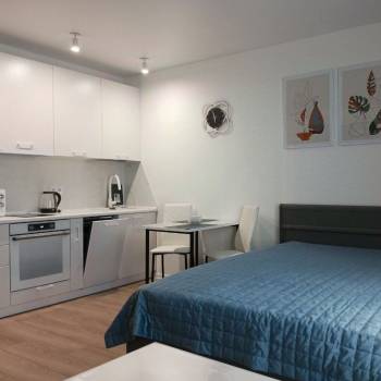 Сдается 1-комнатная квартира, 25,3 м²
