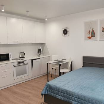 Сдается 1-комнатная квартира, 25,3 м²
